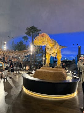 福井県立恐竜博物館に投稿された画像（2025/9/29）