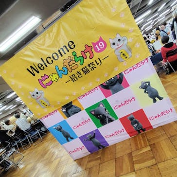 猫好きさんの祭典「にゃんだらけ19」に投稿された画像（2025/9/29）