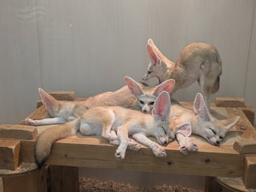 アニタッチ MARK IS 静岡に投稿された画像（2025/9/29）