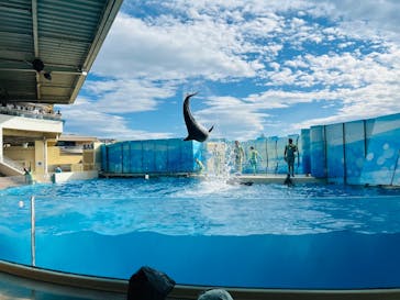 新江ノ島水族館に投稿された画像（2025/9/29）