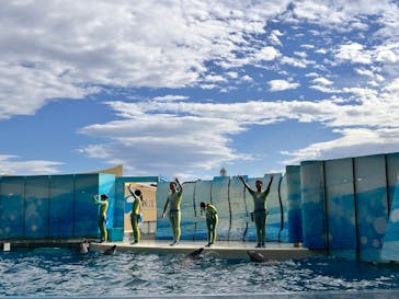 新江ノ島水族館に投稿された画像（2025/9/29）