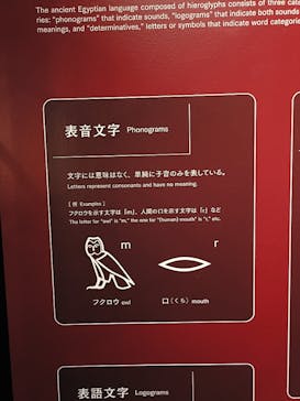 MYSTERY OF TUTANKHAMEN 体感型古代エジプト展に投稿された画像（2025/9/29）