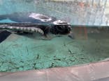 串本海中公園水族館に投稿された画像（2025/9/29）