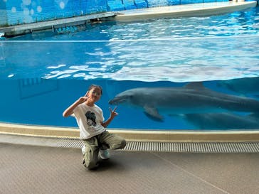 新江ノ島水族館に投稿された画像（2025/9/29）