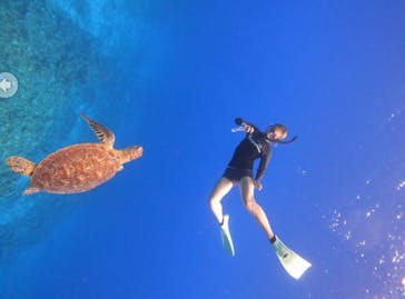 マリンクラブ ベリー 那覇店に投稿された画像（2025/9/29）