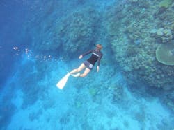 マリンクラブ ベリー 那覇店に投稿された画像（2025/9/29）