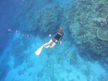 マリンクラブ ベリー 那覇店に投稿された画像（2025/9/29）