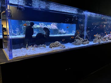 すみだ水族館に投稿された画像（2025/9/29）