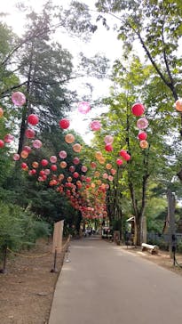 ムーミンバレーパークに投稿された画像（2025/9/29）