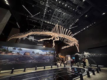 福井県立恐竜博物館に投稿された画像（2025/9/29）