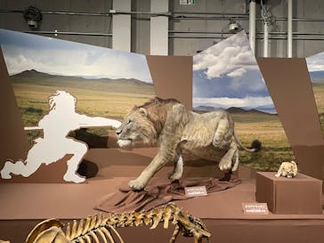 特別展「氷河期展 〜人類が見た4万年前の世界〜」（国立科学博物館）に投稿された画像（2025/9/29）