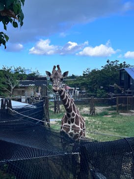 沖縄こどもの国に投稿された画像（2025/9/29）