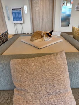 オーシャンスパ Fuuaに投稿された画像（2025/9/29）