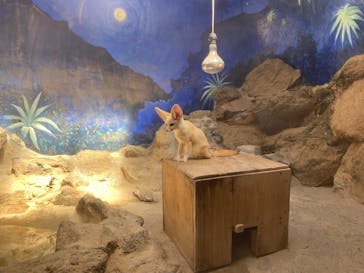 伊豆シャボテン動物公園に投稿された画像（2025/9/29）