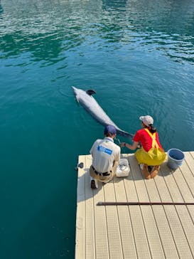 伊豆・三津シーパラダイスに投稿された画像（2025/9/29）