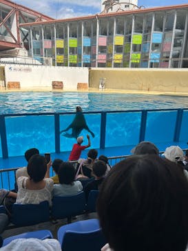 伊豆・三津シーパラダイスに投稿された画像（2025/9/29）