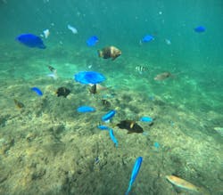 「子供の遊び場」マリンショップ響に投稿された画像（2025/9/29）