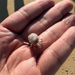 「子供の遊び場」マリンショップ響に投稿された画像（2025/9/29）