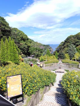 ACAO FORESTに投稿された画像（2025/9/29）