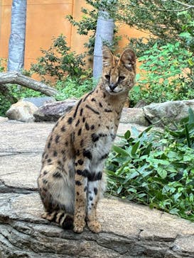 那須どうぶつ王国に投稿された画像（2025/9/29）