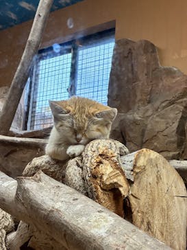 那須どうぶつ王国に投稿された画像（2025/9/29）