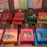 AQUARIUM × ART　atoa×felissimo chocolate museum（フェリシモ チョコレート ミュージアム）に投稿された画像（2025/9/29）