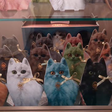 AQUARIUM × ART　atoa×felissimo chocolate museum（フェリシモ チョコレート ミュージアム）に投稿された画像（2025/9/29）