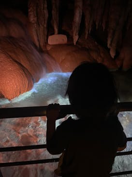 おきなわワールドに投稿された画像（2025/9/29）