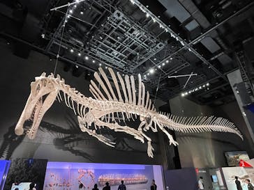 福井県立恐竜博物館に投稿された画像（2025/9/29）