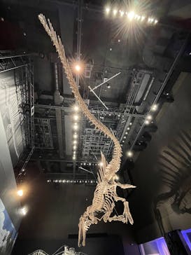 福井県立恐竜博物館に投稿された画像（2025/9/29）