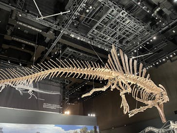 福井県立恐竜博物館に投稿された画像（2025/9/29）