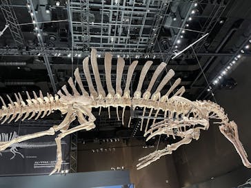 福井県立恐竜博物館に投稿された画像（2025/9/29）