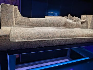 ACN ラムセス大王展 ファラオたちの黄金に投稿された画像（2025/9/29）