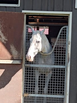 ノーザンホースパークに投稿された画像（2025/9/30）