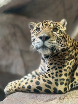 那須どうぶつ王国に投稿された画像（2025/9/30）