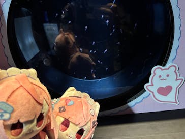 サンシャイン水族館に投稿された画像（2025/9/30）