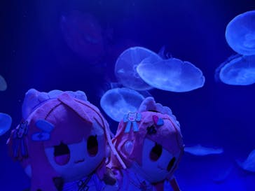 サンシャイン水族館に投稿された画像（2025/9/30）