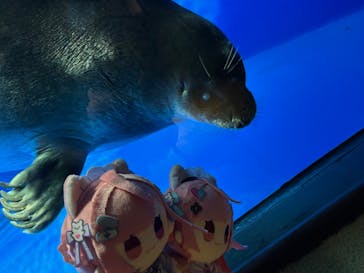 サンシャイン水族館に投稿された画像（2025/9/30）