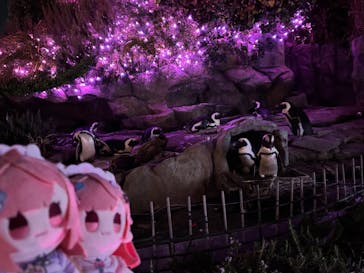 サンシャイン水族館に投稿された画像（2025/9/30）