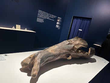 正倉院 THE SHOW ―感じる。いま、ここにある奇跡―　@上野の森美術館に投稿された画像（2025/9/30）