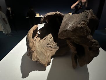 正倉院 THE SHOW ―感じる。いま、ここにある奇跡―　@上野の森美術館に投稿された画像（2025/9/30）