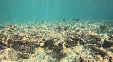 沖縄マリンサービス碧に投稿された画像（2025/9/30）