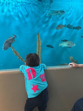 アクアワールド茨城県大洗水族館に投稿された画像（2025/9/30）