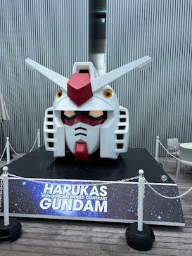 ハルカス300(展望台)に投稿された画像（2025/9/30）