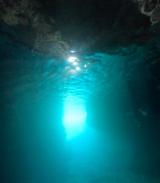 武藤潜水に投稿された画像（2025/9/30）