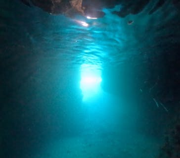 武藤潜水に投稿された画像（2025/9/30）