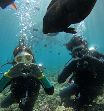 武藤潜水に投稿された画像（2025/9/30）