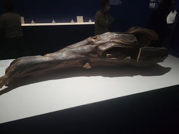 正倉院 THE SHOW ―感じる。いま、ここにある奇跡―　@上野の森美術館に投稿された画像（2025/9/30）