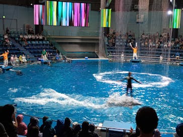 マクセル アクアパーク品川に投稿された画像（2025/9/30）