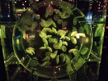 マクセル アクアパーク品川に投稿された画像（2025/9/30）